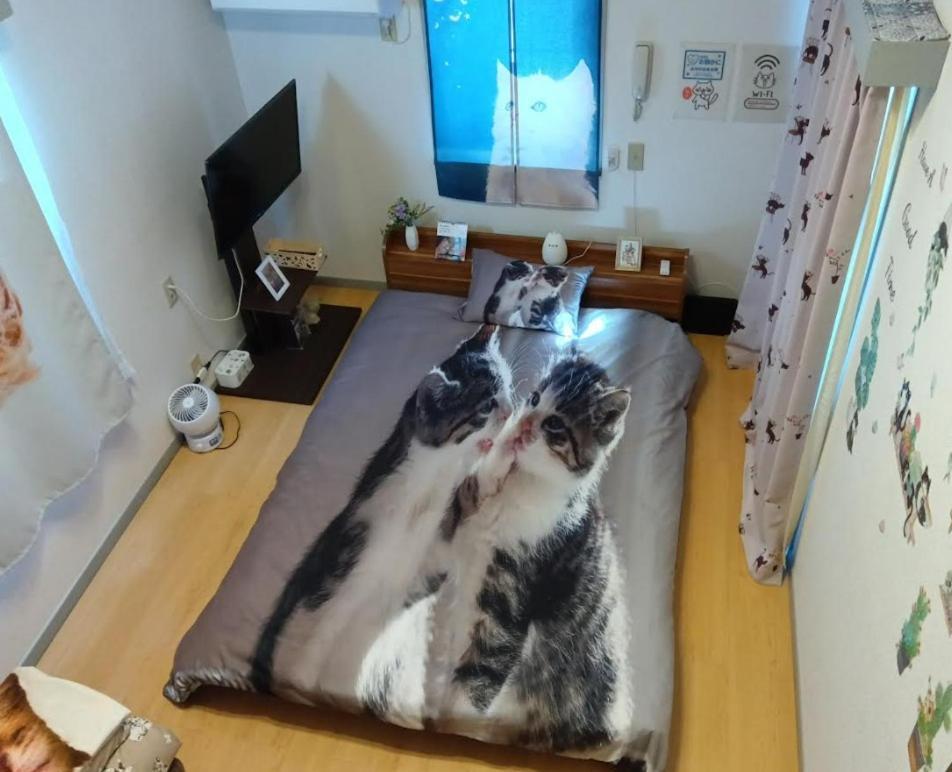 Tokyo Shibuya Shinjyuku Cat House ! Apartamento Exterior foto