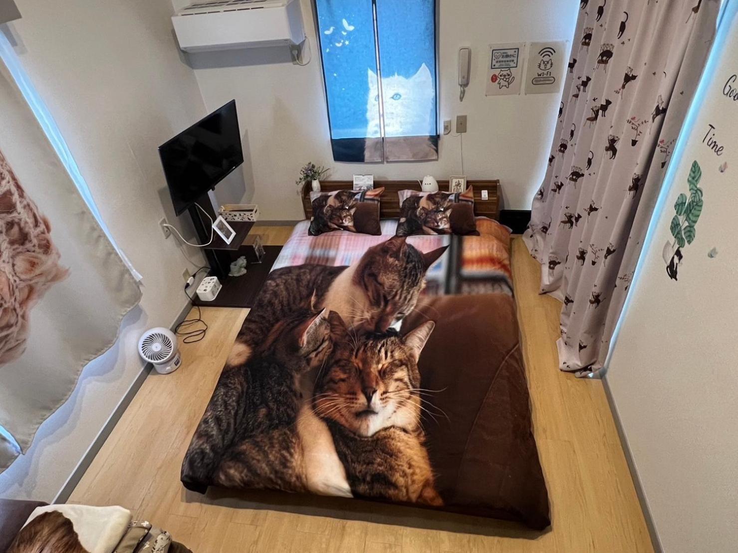 Tokyo Shibuya Shinjyuku Cat House ! Apartamento Exterior foto