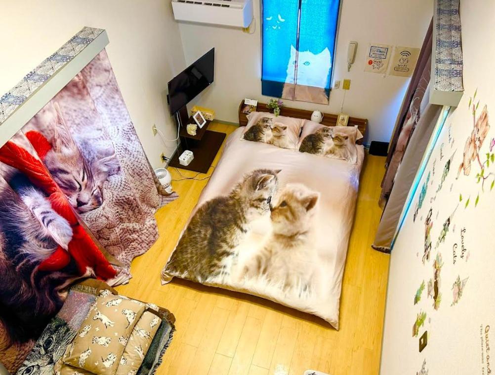 Tokyo Shibuya Shinjyuku Cat House ! Apartamento Exterior foto